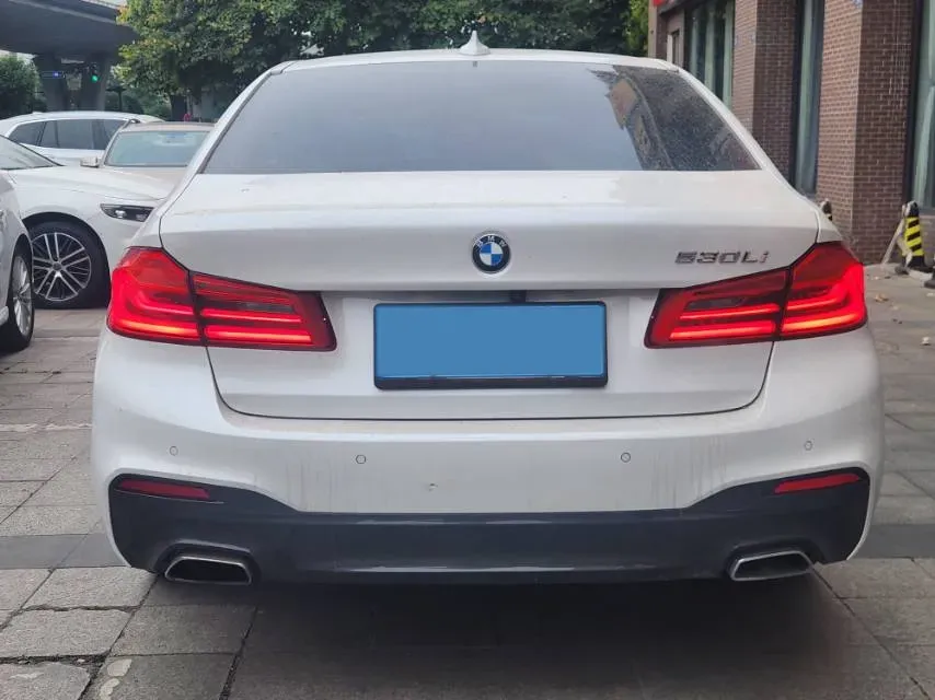 2020 BMW 5 Series 2.0T 252HP L4 8AT,autocango,china used car exporter,china ev exporter,chinese used car exporter,chinese used ev exporter