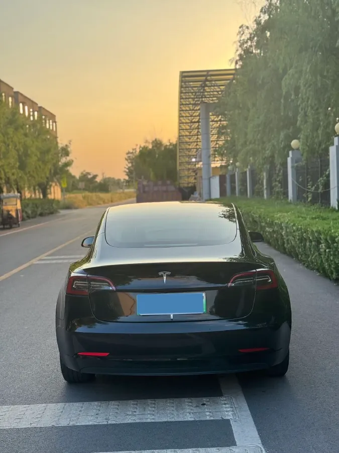 2022 Tesla Model 3 BEV 60KWH,autocango,china used car exporter,china ev exporter,chinese used car exporter,chinese used ev exporter
