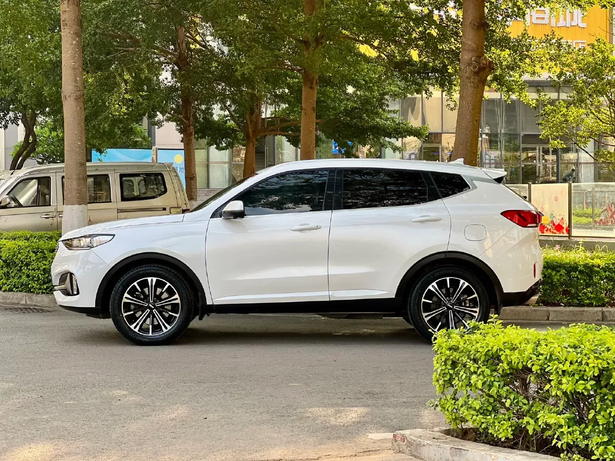 2021 WEY VV6 2.0T 227HP L4 7DCT,autocango,china used car exporter,china ev exporter,chinese used car exporter,chinese used ev exporter