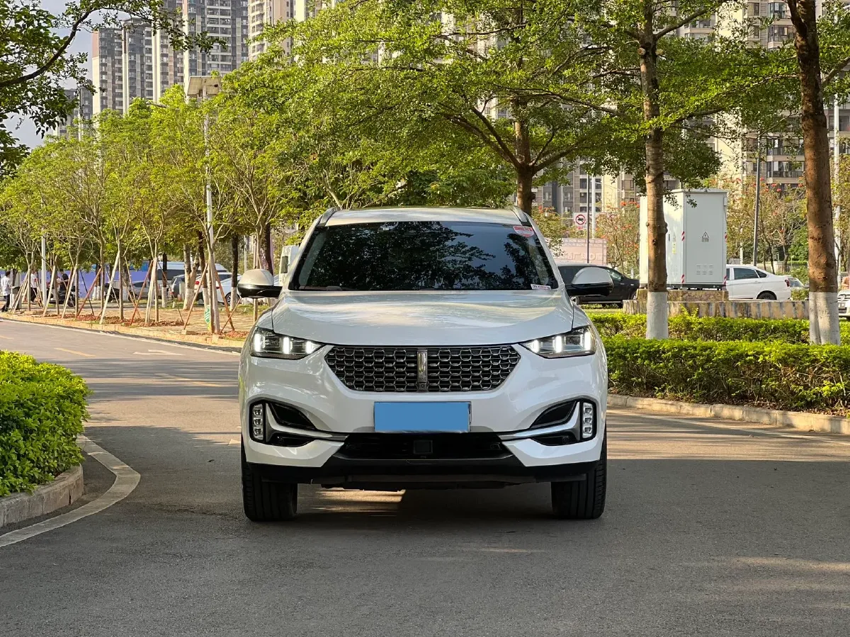 2021 WEY VV6 2.0T 227HP L4 7DCT,autocango,china used car exporter,china ev exporter,chinese used car exporter,chinese used ev exporter