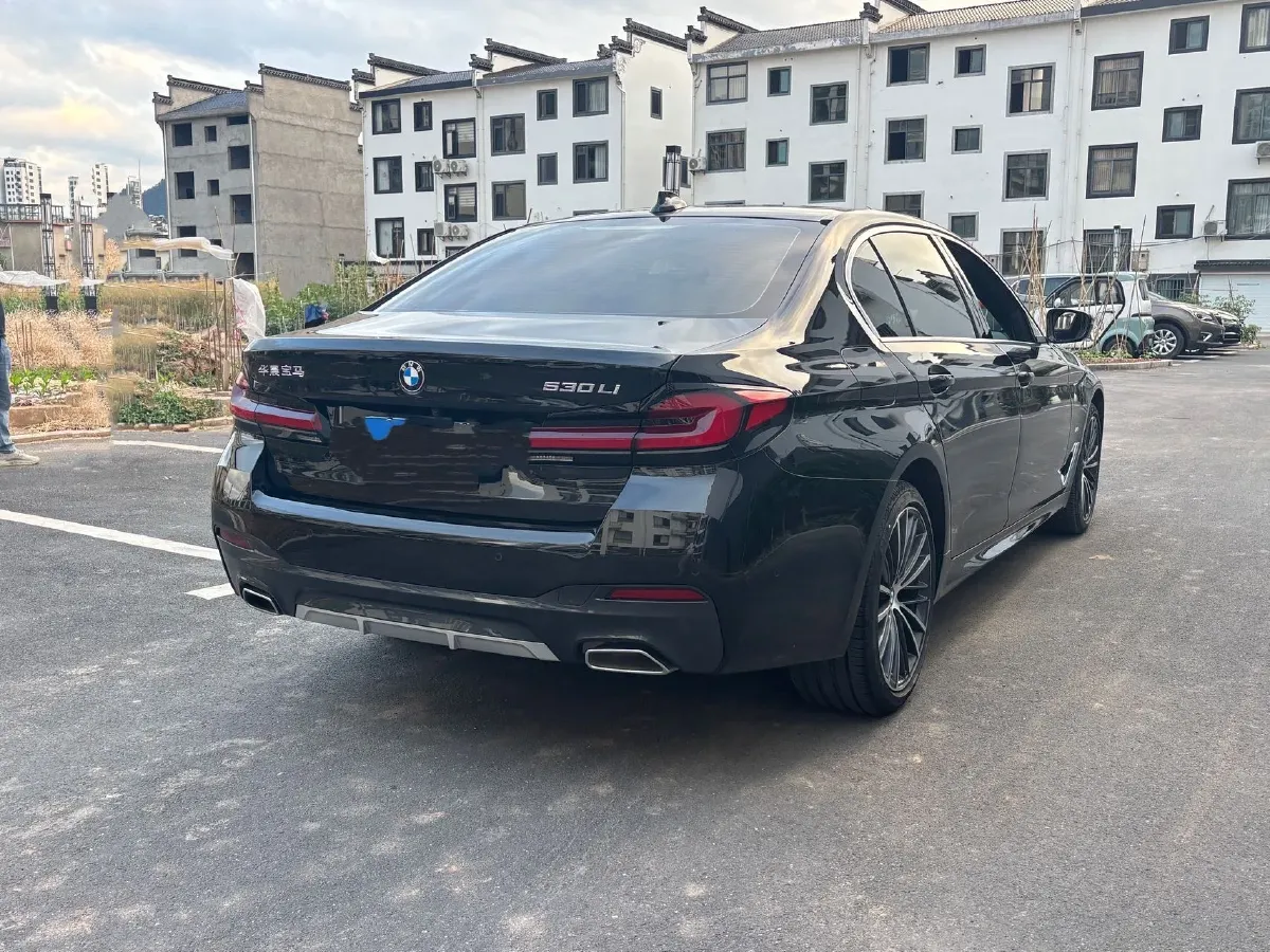 2023 BMW 5 Series 2.0T 245HP L4 8AT,autocango,china used car exporter,china ev exporter,chinese used car exporter,chinese used ev exporter