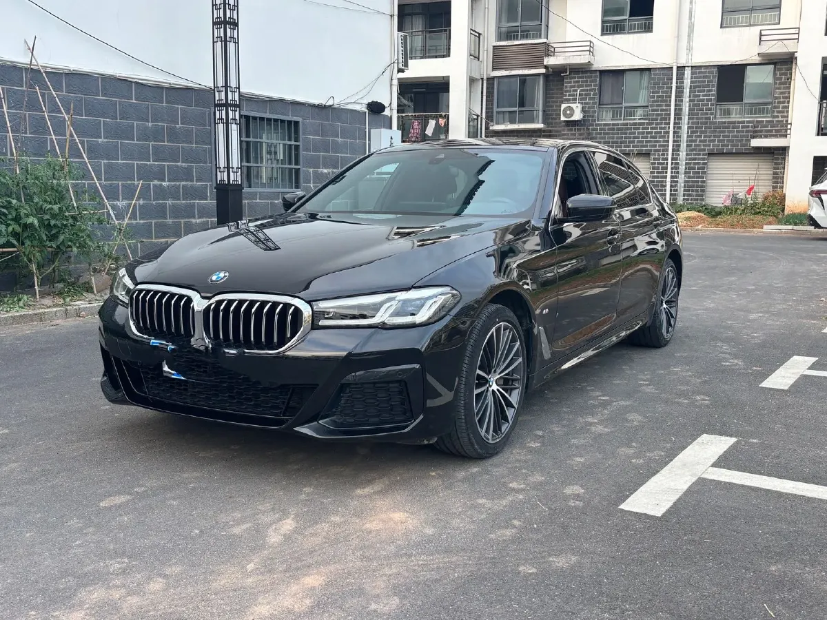 2023 BMW 5 Series 2.0T 245HP L4 8AT,autocango,china used car exporter,china ev exporter,chinese used car exporter,chinese used ev exporter