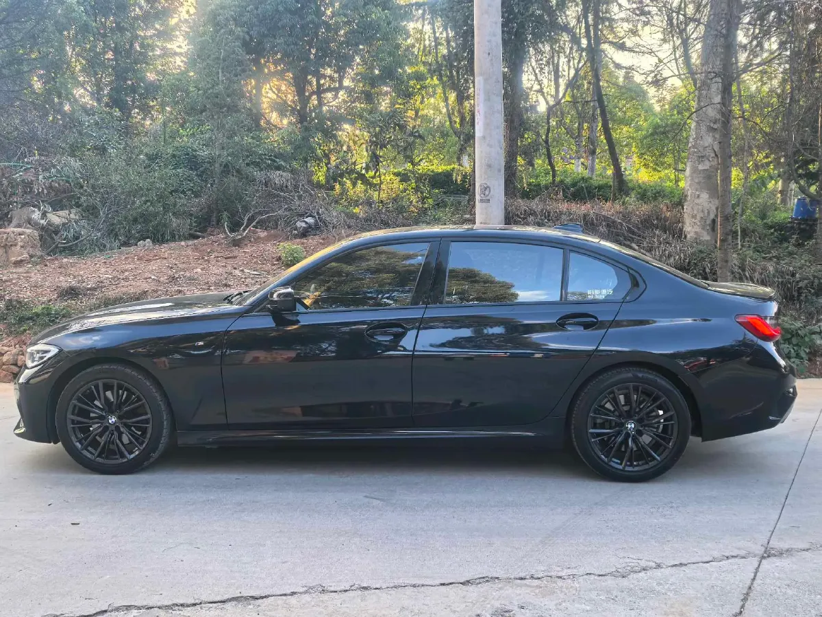 2021 BMW 3 Series 2.0T 258HP L4 8AT,autocango,china used car exporter,china ev exporter,chinese used car exporter,chinese used ev exporter