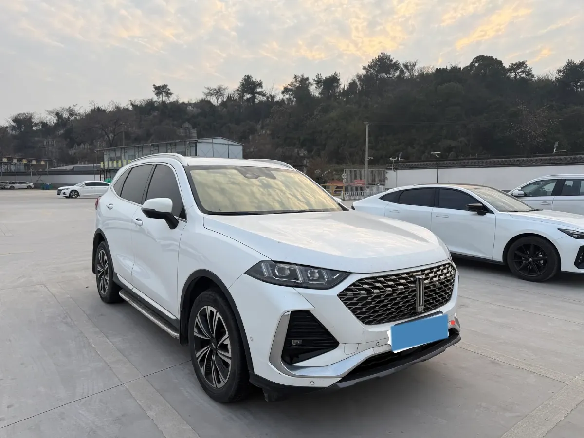 2022 WEY Latte DHT 1.5T 156HP L4 2DHT Hybrid,autocango,china used car exporter,china ev exporter,chinese used car exporter,chinese used ev exporter