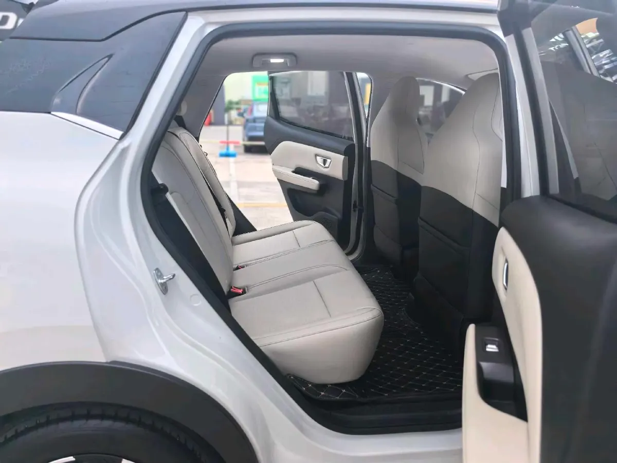 2024 WuLing BinGuoPLUS BEV 37.9KWH,autocango,china used car exporter,china ev exporter,chinese used car exporter,chinese used ev exporter