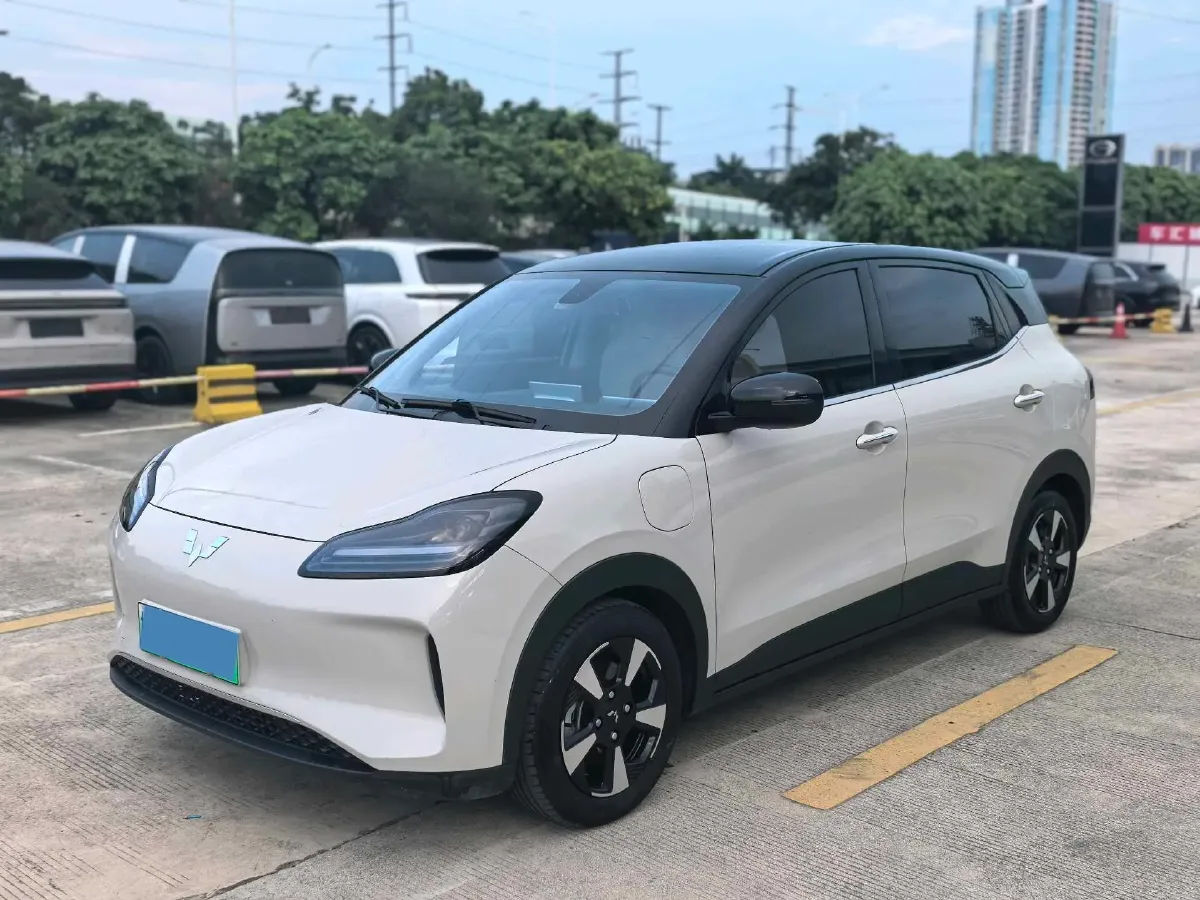 2024 WuLing BinGuoPLUS BEV 37.9KWH,autocango,china used car exporter,china ev exporter,chinese used car exporter,chinese used ev exporter