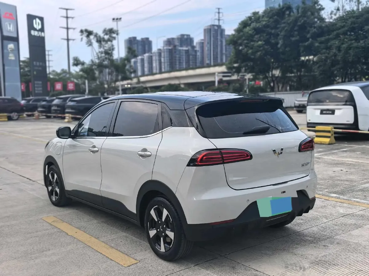 2024 WuLing BinGuoPLUS BEV 37.9KWH,autocango,china used car exporter,china ev exporter,chinese used car exporter,chinese used ev exporter