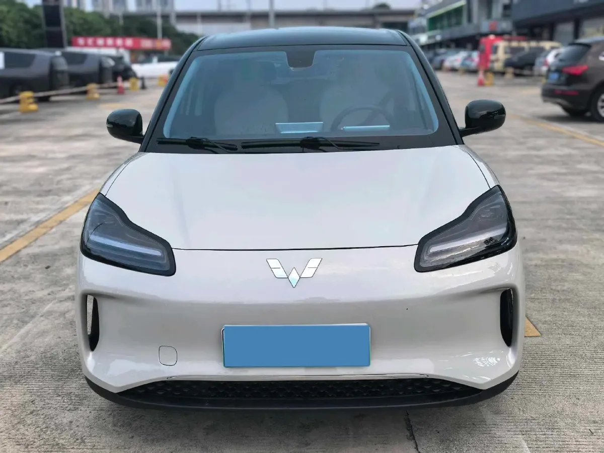 2024 WuLing BinGuoPLUS BEV 37.9KWH,autocango,china used car exporter,china ev exporter,chinese used car exporter,chinese used ev exporter