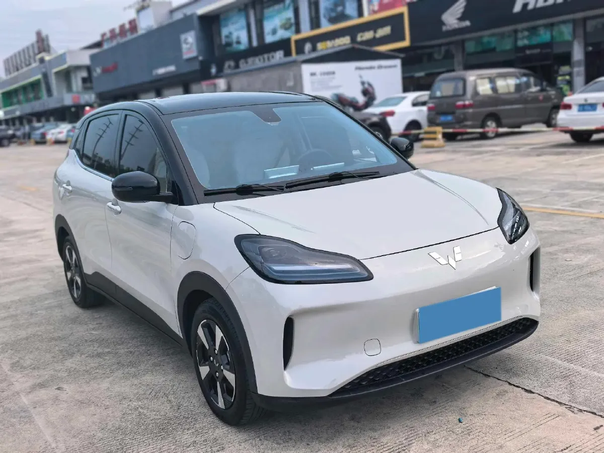 2024 WuLing BinGuoPLUS BEV 37.9KWH,autocango,china used car exporter,china ev exporter,chinese used car exporter,chinese used ev exporter