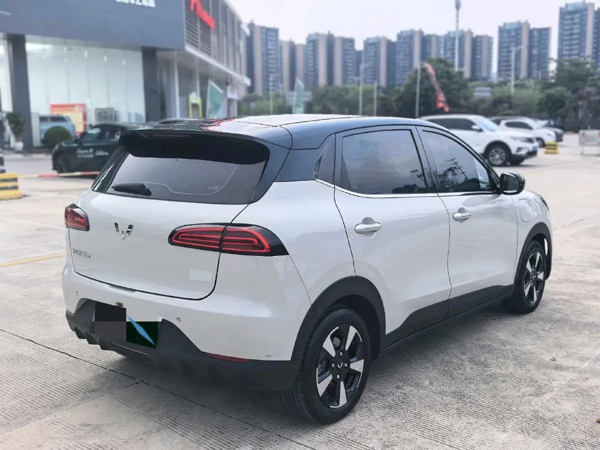 2024 WuLing BinGuoPLUS BEV 37.9KWH,autocango,china used car exporter,china ev exporter,chinese used car exporter,chinese used ev exporter
