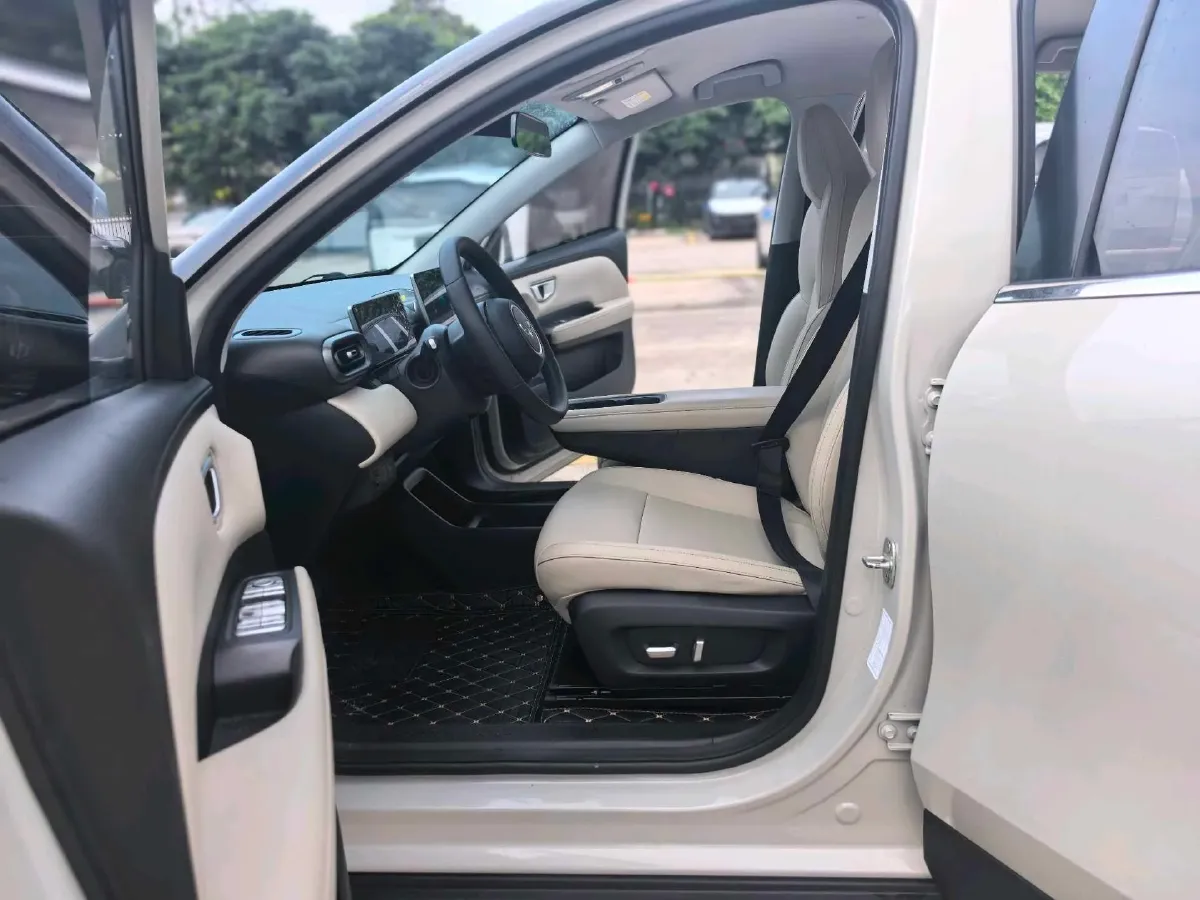 2024 WuLing BinGuoPLUS BEV 37.9KWH,autocango,china used car exporter,china ev exporter,chinese used car exporter,chinese used ev exporter