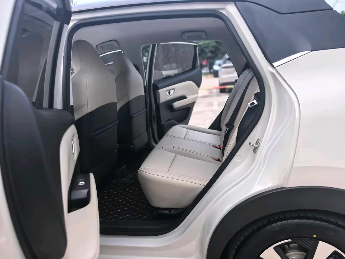 2024 WuLing BinGuoPLUS BEV 37.9KWH,autocango,china used car exporter,china ev exporter,chinese used car exporter,chinese used ev exporter