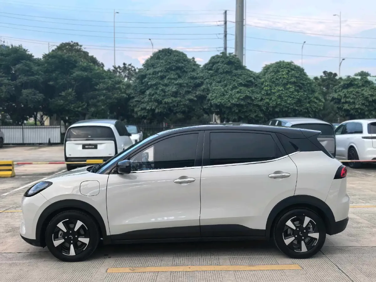 2024 WuLing BinGuoPLUS BEV 37.9KWH,autocango,china used car exporter,china ev exporter,chinese used car exporter,chinese used ev exporter