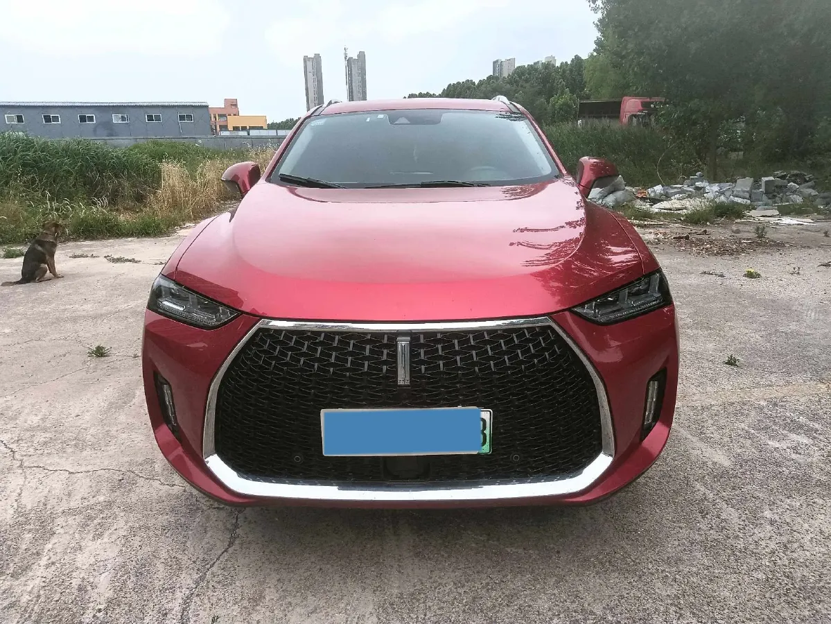 2018 WEY P8 2.0T 234HP L4 6DCT PHEV 12.96KWH,autocango,china used car exporter,china ev exporter,chinese used car exporter,chinese used ev exporter