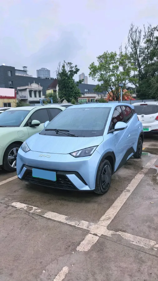 2024 BYD Seagull BEV 30.08KWH,autocango,china used car exporter,china ev exporter,chinese used car exporter,chinese used ev exporter