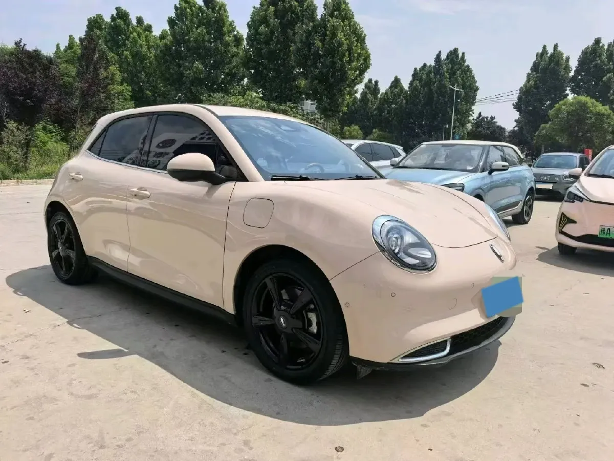 2024 Ora FunkyCat BEV 47.8KWH,autocango,china used car exporter,china ev exporter,chinese used car exporter,chinese used ev exporter