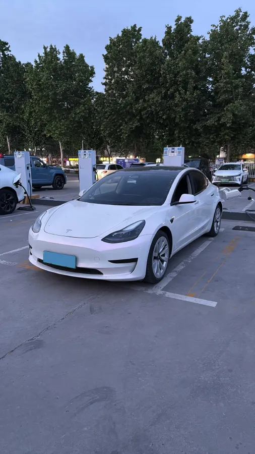 2021 Tesla Model 3 BEV 55KWH,autocango,china used car exporter,china ev exporter,chinese used car exporter,chinese used ev exporter