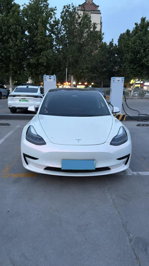2021 Tesla Model 3 BEV 55KWH,autocango,china used car exporter,china ev exporter,chinese used car exporter,chinese used ev exporter