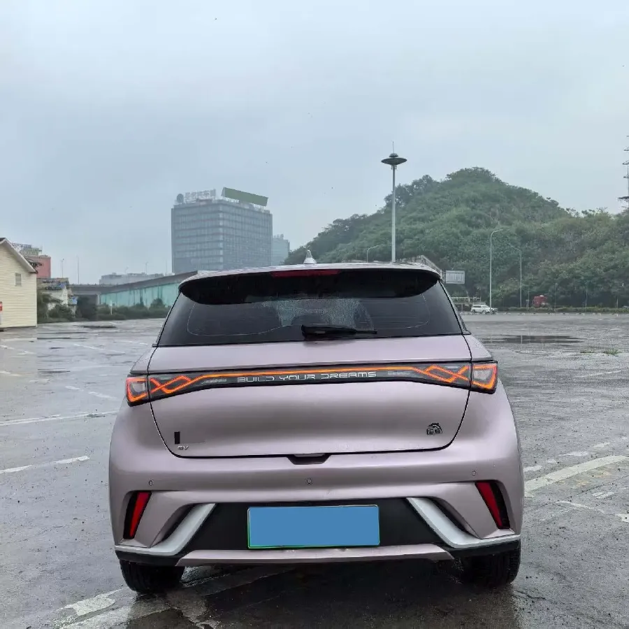 2023 BYD Dolphin BEV 44.928KWH,autocango,china used car exporter,china ev exporter,chinese used car exporter,chinese used ev exporter