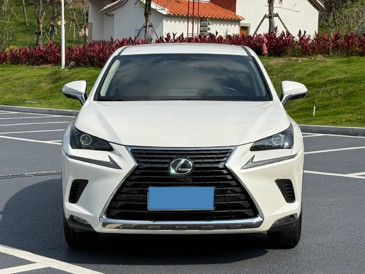 2020 Lexus NX 2.0L 150HP L4 CVT,autocango,china used car exporter,china ev exporter,chinese used car exporter,chinese used ev exporter