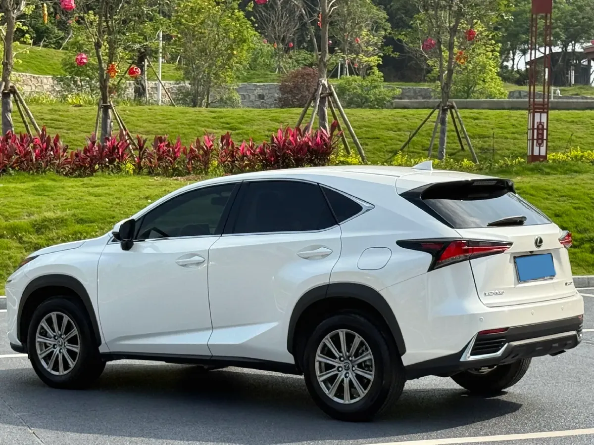 2020 Lexus NX 2.0L 150HP L4 CVT,autocango,china used car exporter,china ev exporter,chinese used car exporter,chinese used ev exporter