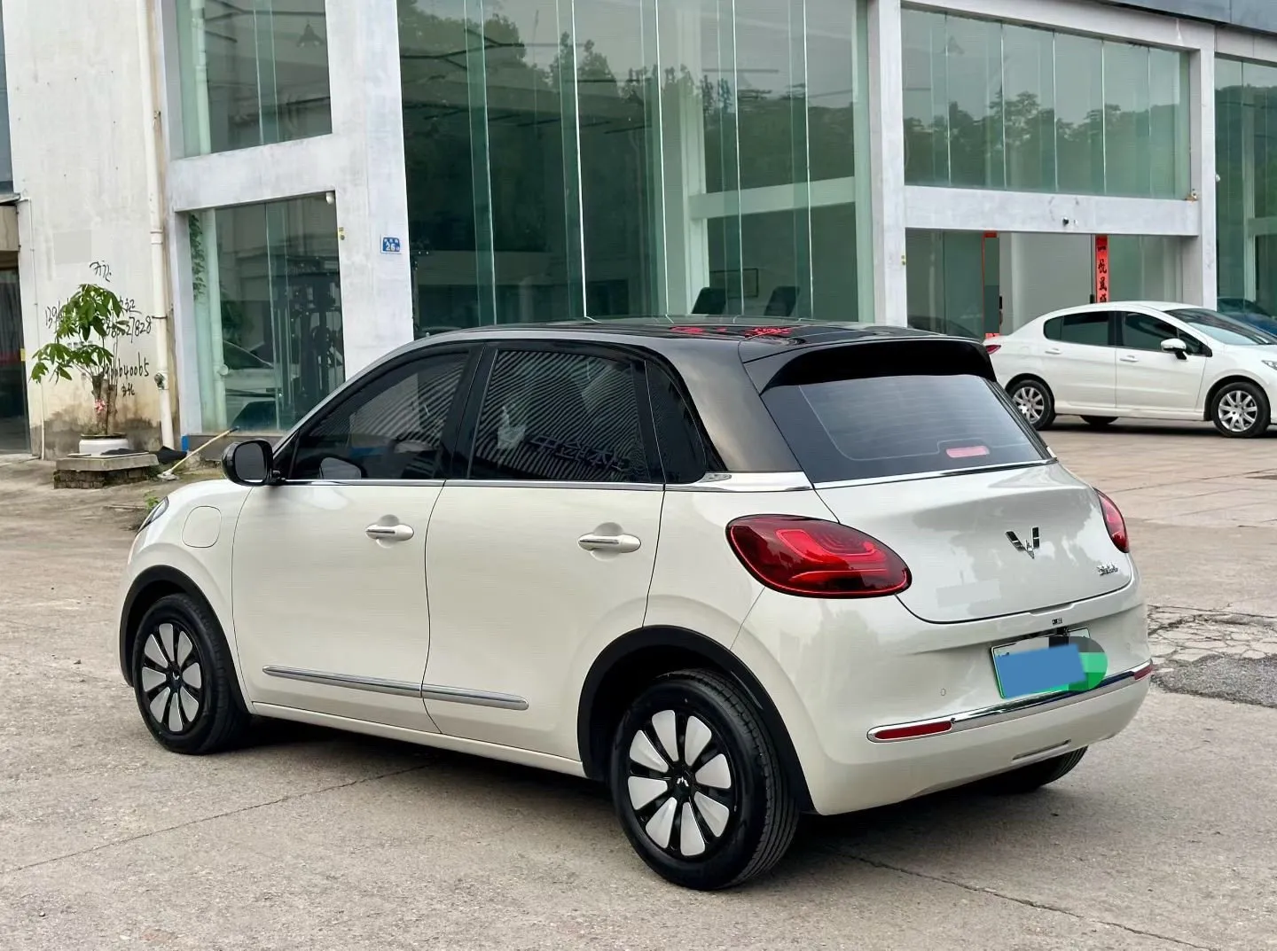 miniatura 8