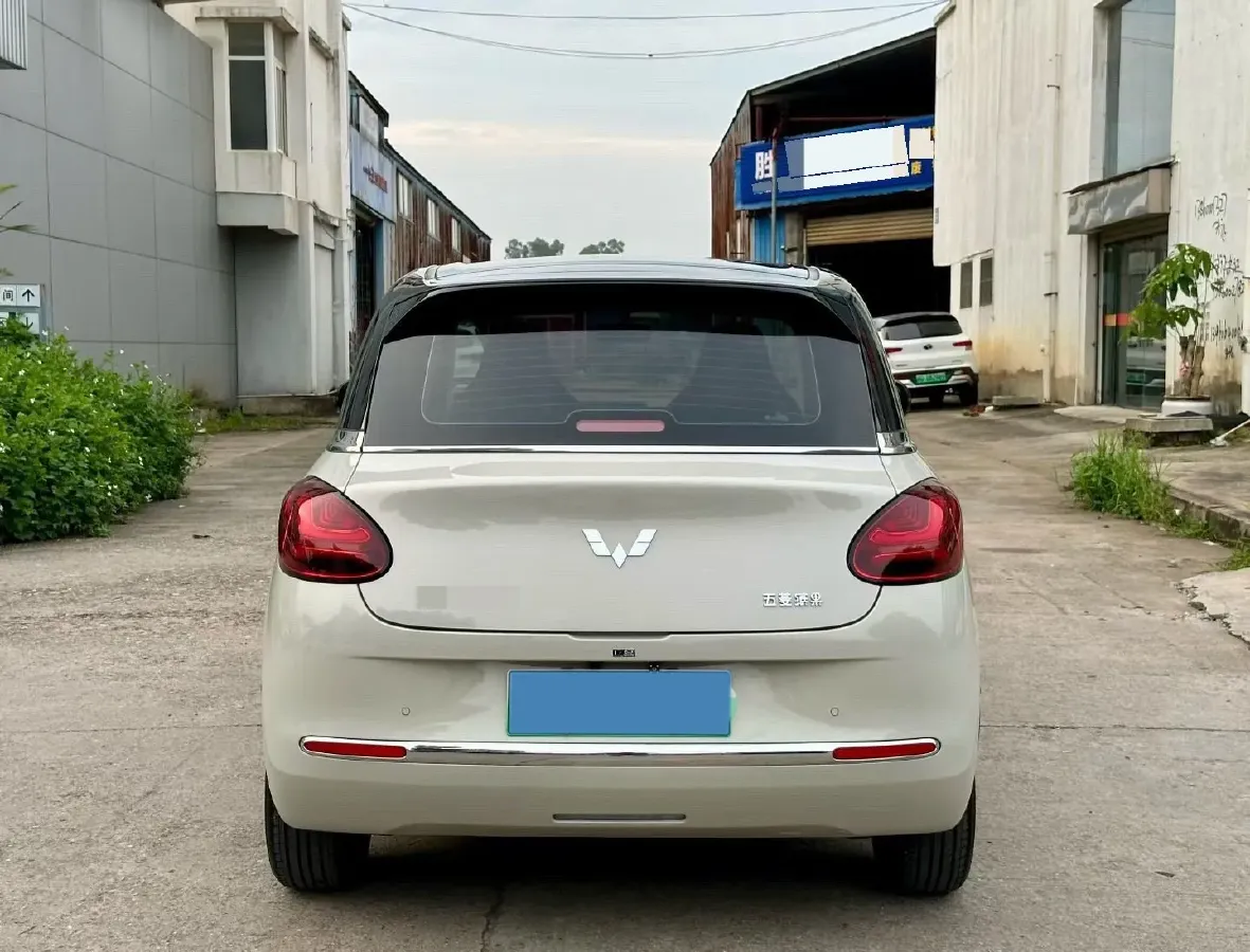 2024 WuLing BinGuo BEV 31.9KWH,autocango,china used car exporter,china ev exporter,chinese used car exporter,chinese used ev exporter