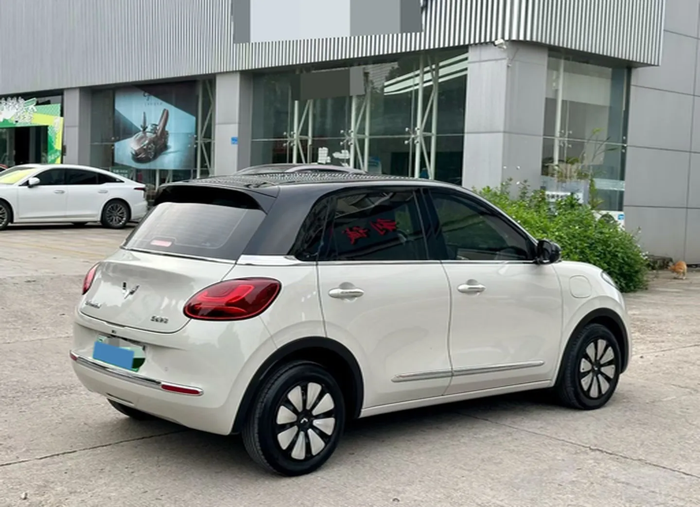 miniatura 9