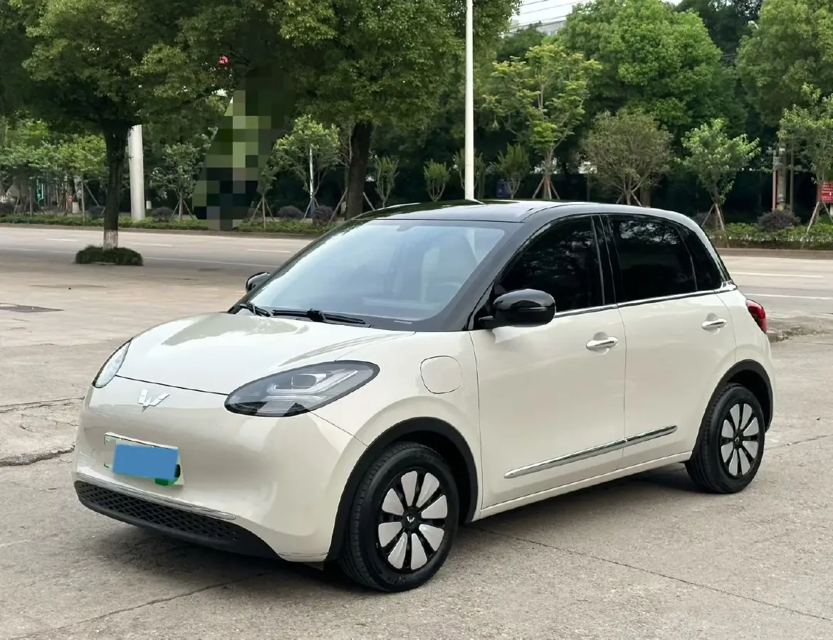 2024 WuLing BinGuo BEV 31.9KWH,autocango,china used car exporter,china ev exporter,chinese used car exporter,chinese used ev exporter