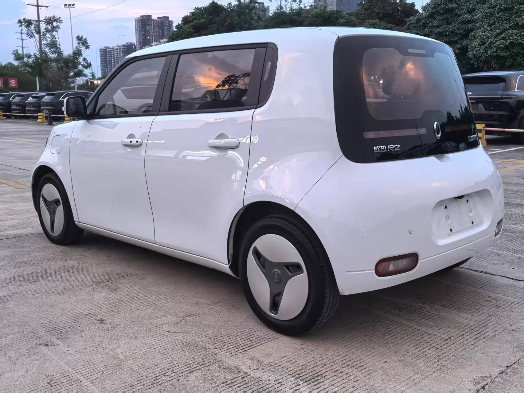 miniatura 7