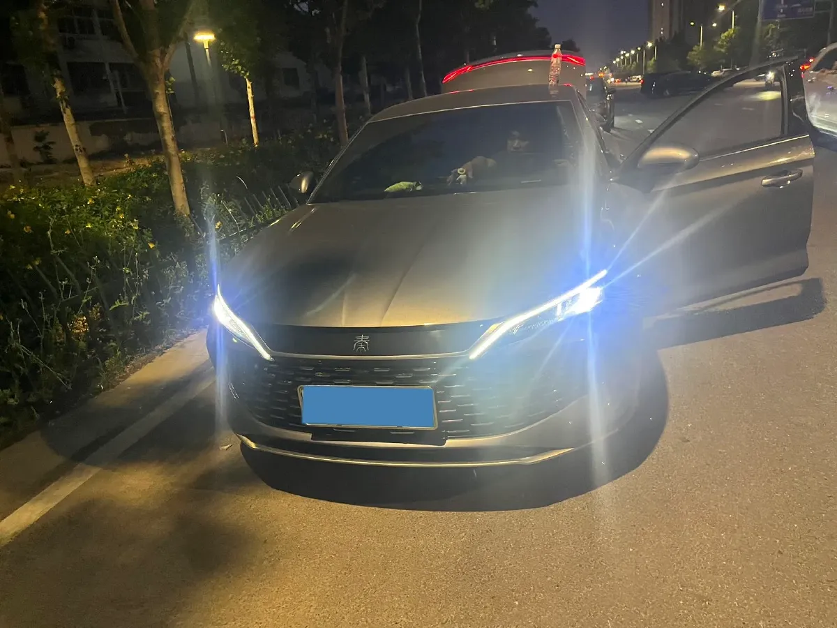 2024 BYD QinL 1.5L 101HP L4 E-CVT PHEV 10.08KWH,autocango,china used car exporter,china ev exporter,chinese used car exporter,chinese used ev exporter