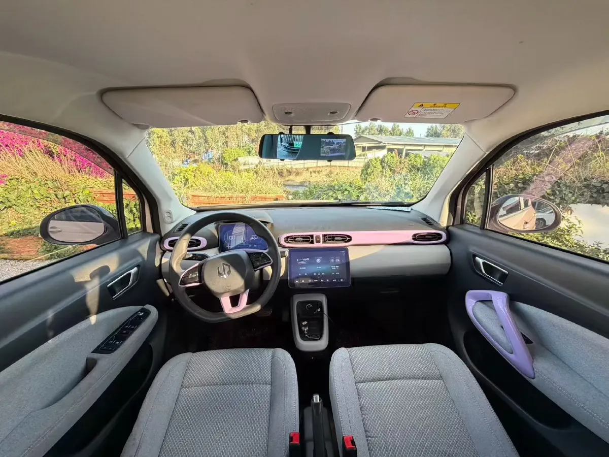 2021 Leapmotor T03 BEV 41KWH,autocango,china used car exporter,china ev exporter,chinese used car exporter,chinese used ev exporter