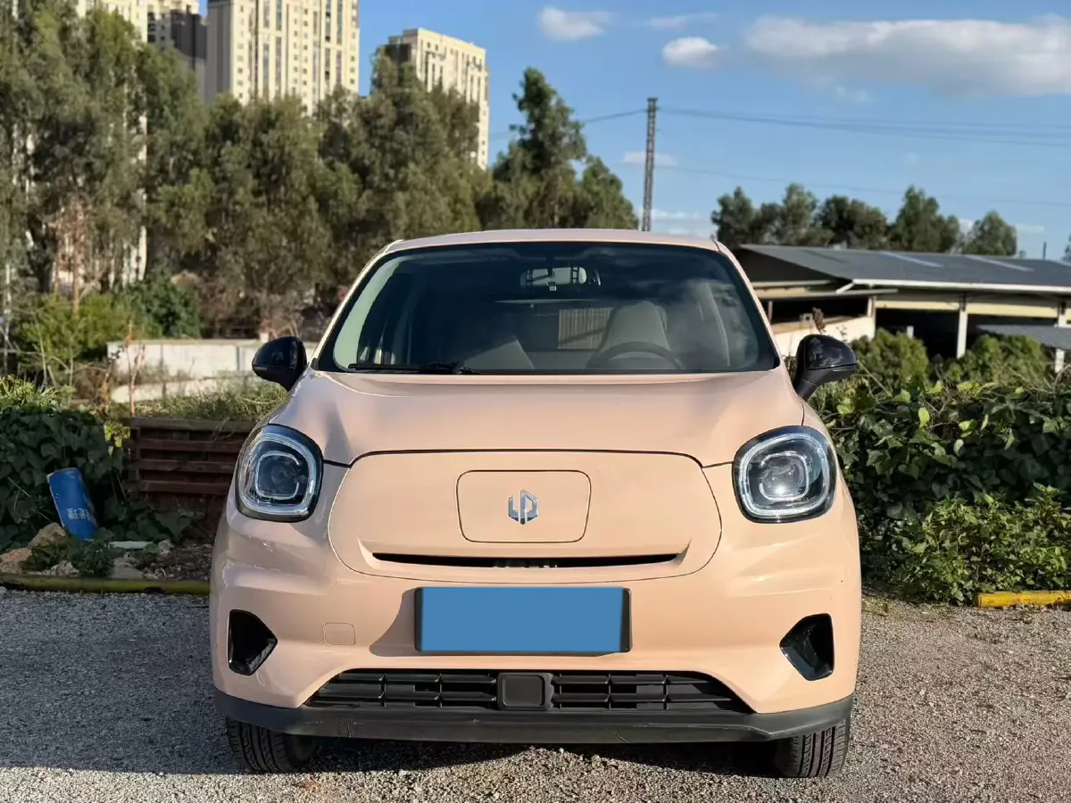 2021 Leapmotor T03 BEV 41KWH,autocango,china used car exporter,china ev exporter,chinese used car exporter,chinese used ev exporter