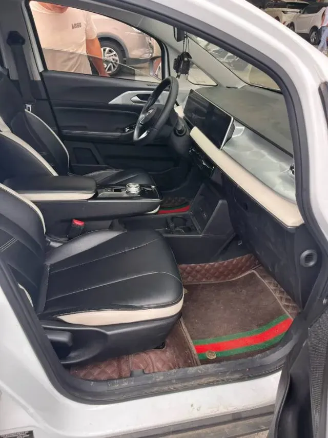 2022 Geometry E BEV 39.4KWH,autocango,china used car exporter,china ev exporter,chinese used car exporter,chinese used ev exporter
