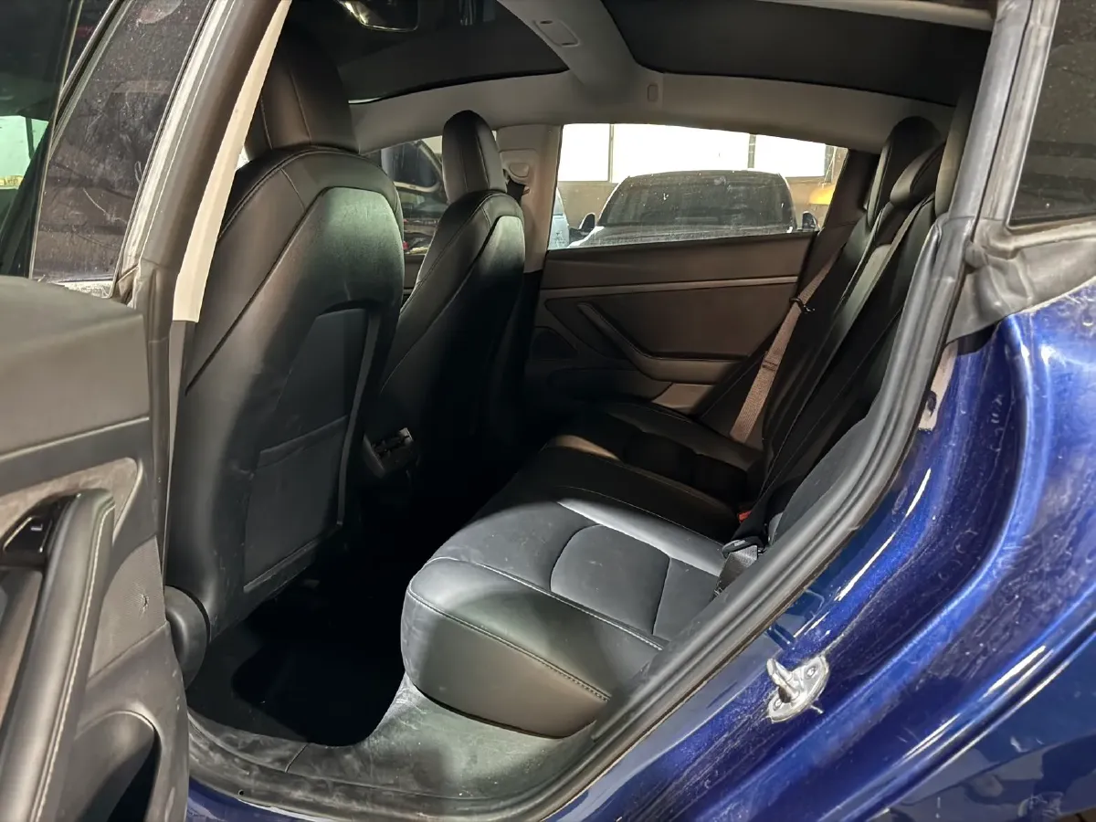 2020 Tesla Model 3 BEV 55KWH,autocango,china used car exporter,china ev exporter,chinese used car exporter,chinese used ev exporter