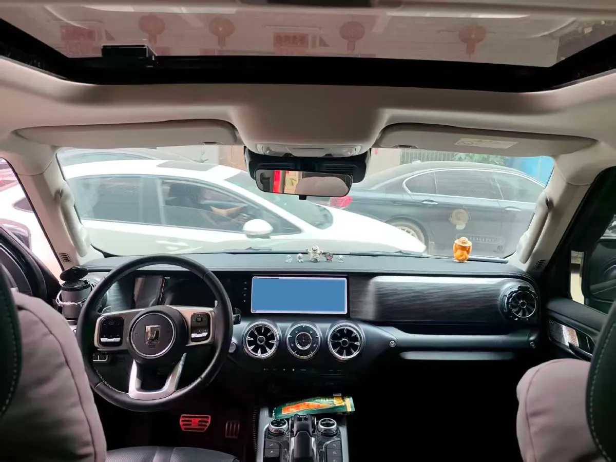 2023 Tank 300 2.0T 227HP L4 8AT,autocango,china used car exporter,china ev exporter,chinese used car exporter,chinese used ev exporter
