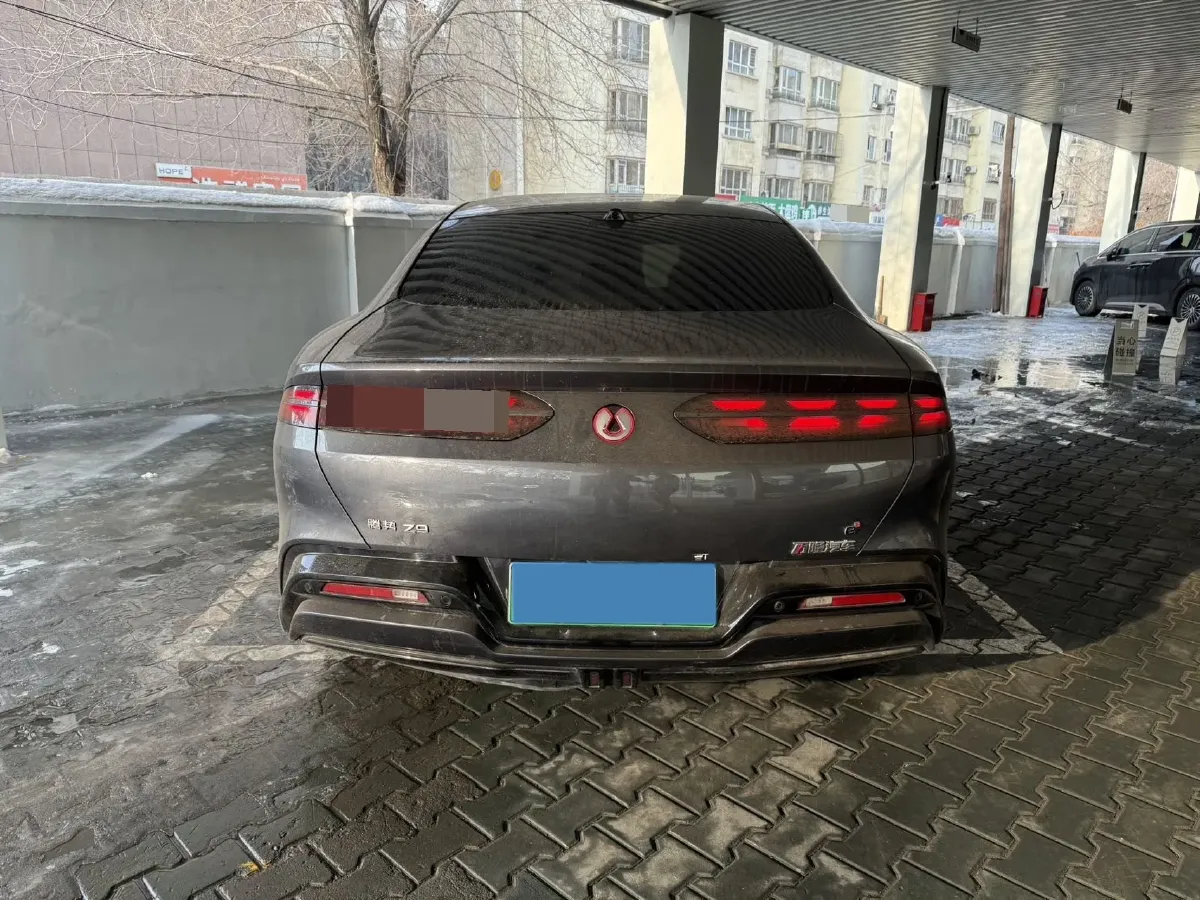 2024 Denza DenzaZ9 2.0T 207HP L4 E-CVT PHEV 38.5KWH,autocango,china used car exporter,china ev exporter,chinese used car exporter,chinese used ev exporter