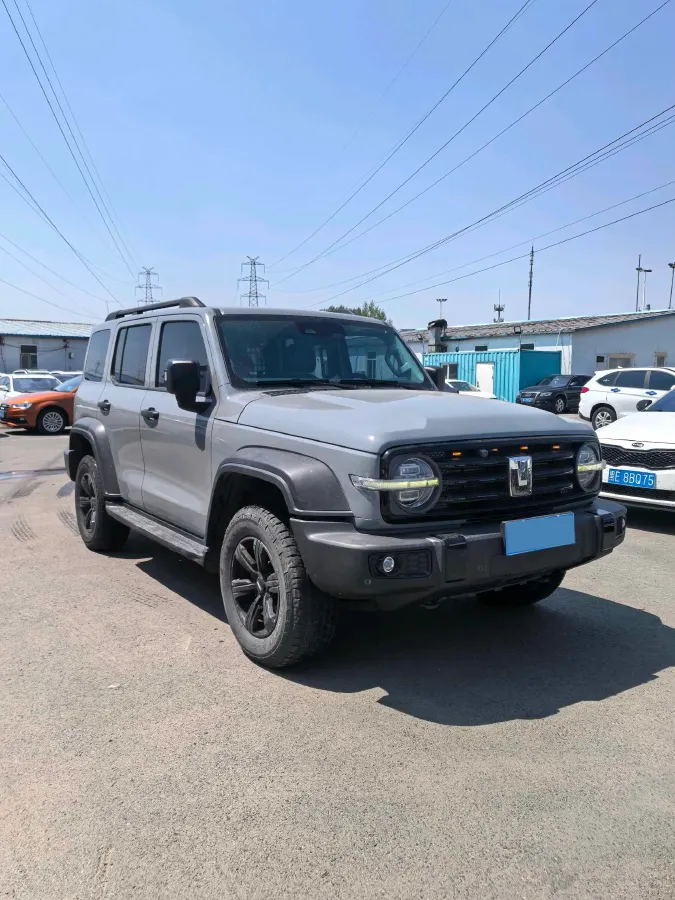 2021 Tank 300 2.0T 227HP L4 8AT,autocango,china used car exporter,china ev exporter,chinese used car exporter,chinese used ev exporter
