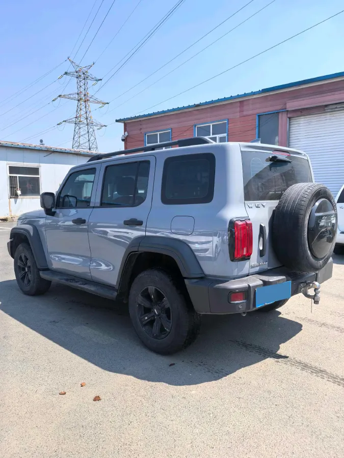 2021 Tank 300 2.0T 227HP L4 8AT,autocango,china used car exporter,china ev exporter,chinese used car exporter,chinese used ev exporter
