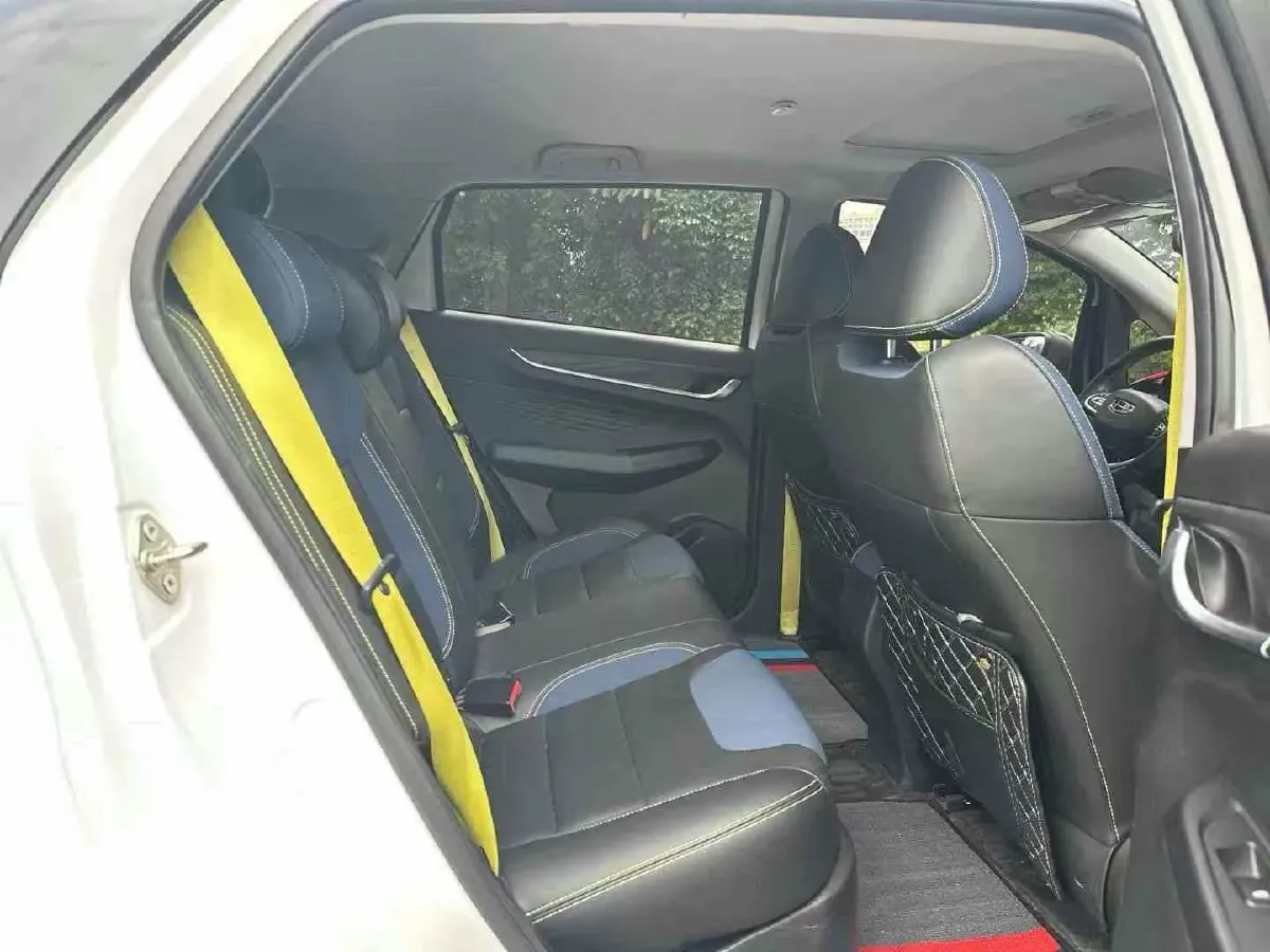 2021 Geometry EX3 BEV 37.23KWH,autocango,china used car exporter,china ev exporter,chinese used car exporter,chinese used ev exporter