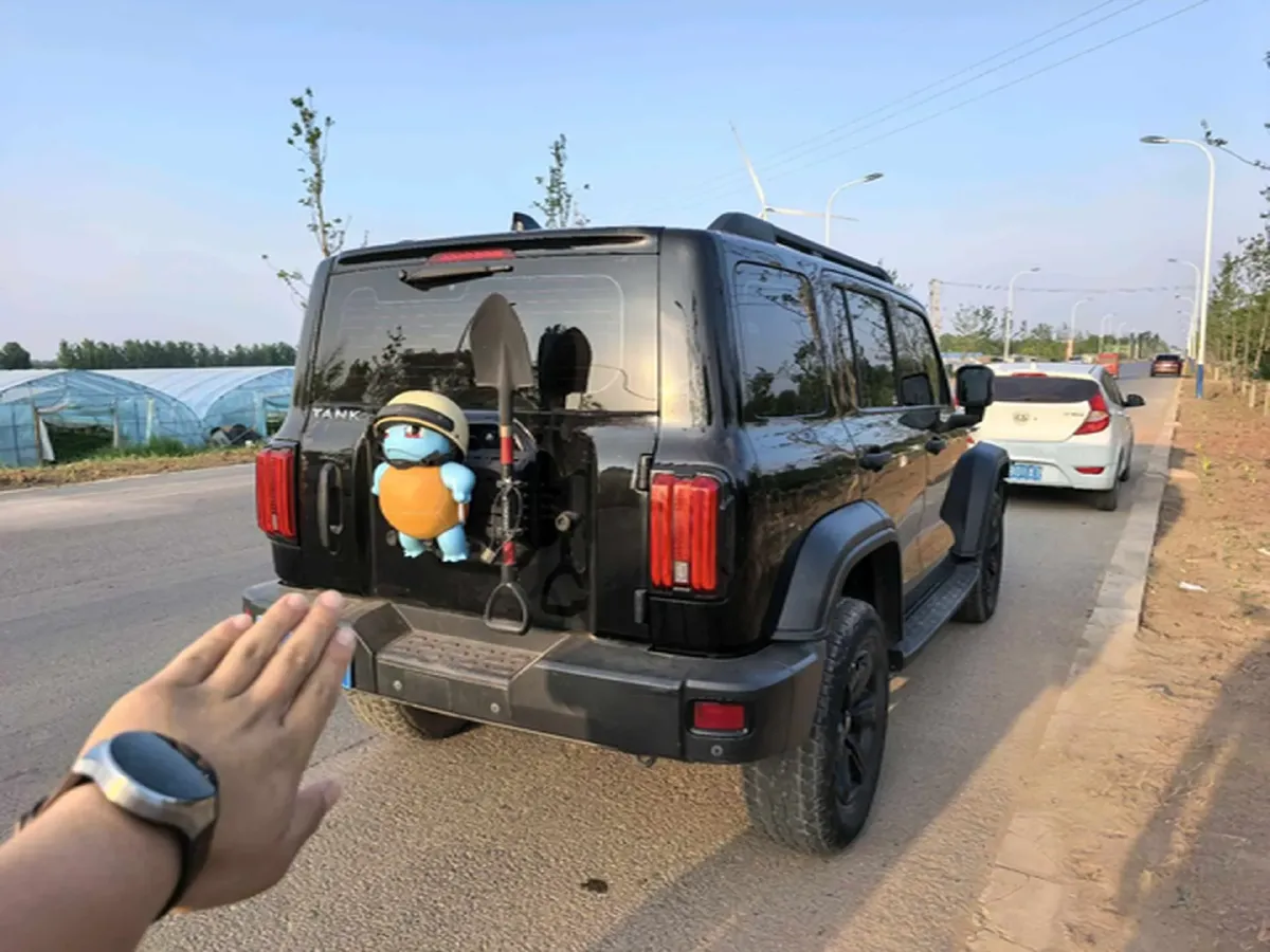 2021 Tank 300 2.0T 227HP L4 8AT,autocango,china used car exporter,china ev exporter,chinese used car exporter,chinese used ev exporter