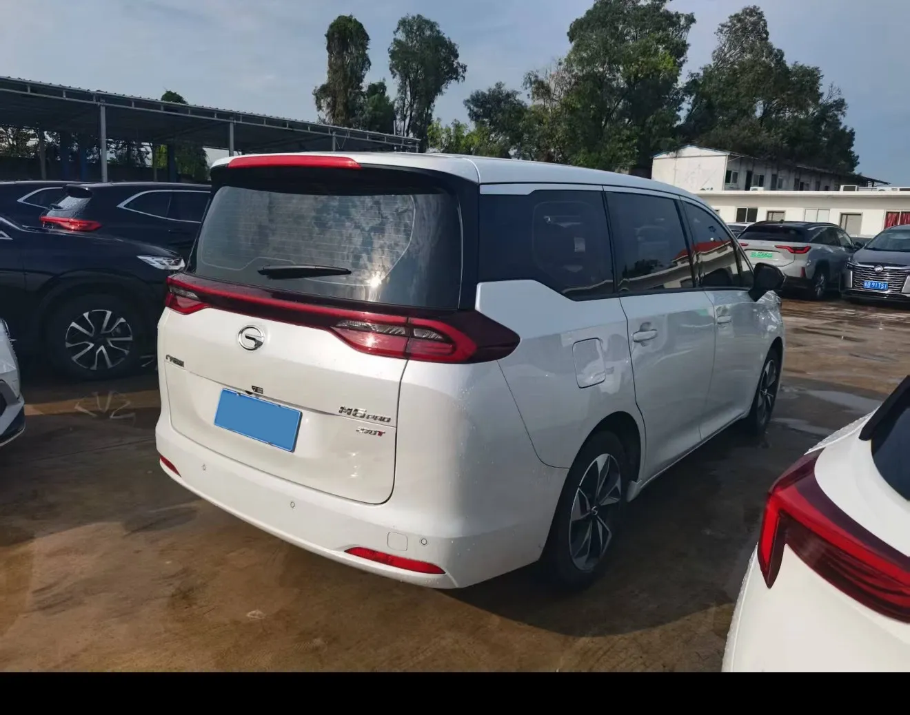 miniatura 7