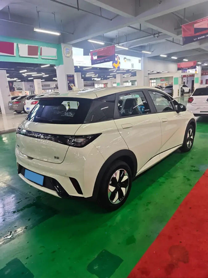 2025 BYD Dolphin BEV 44.928KWH,autocango,china used car exporter,china ev exporter,chinese used car exporter,chinese used ev exporter