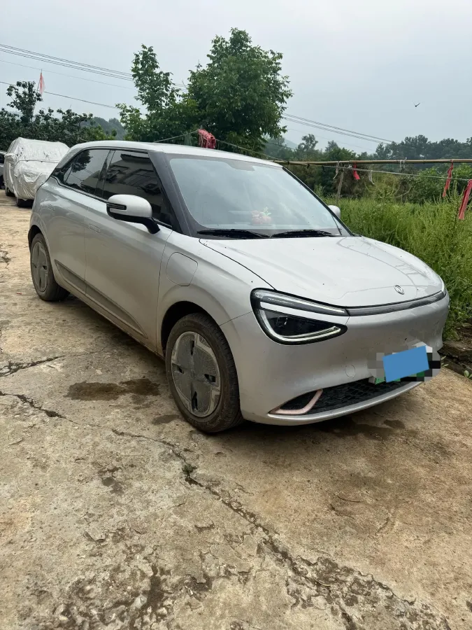 2024 DongFeng eπ 01 BEV 31.45KWH,autocango,china used car exporter,china ev exporter,chinese used car exporter,chinese used ev exporter