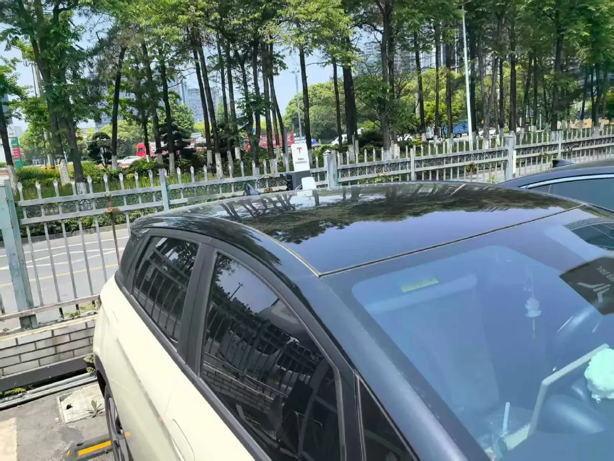2023 BYD Dolphin BEV 44.928KWH,autocango,china used car exporter,china ev exporter,chinese used car exporter,chinese used ev exporter