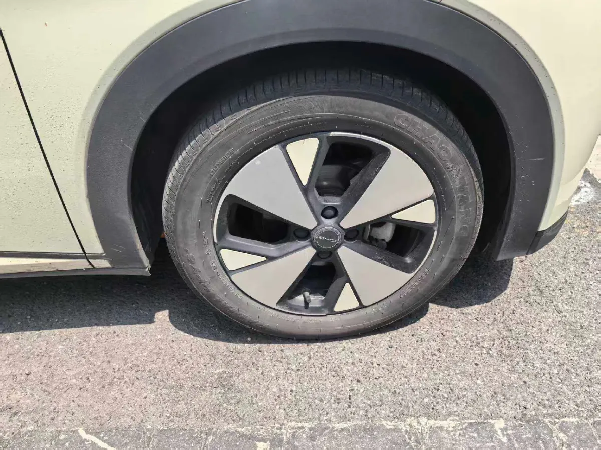 2023 BYD Dolphin BEV 44.928KWH,autocango,china used car exporter,china ev exporter,chinese used car exporter,chinese used ev exporter