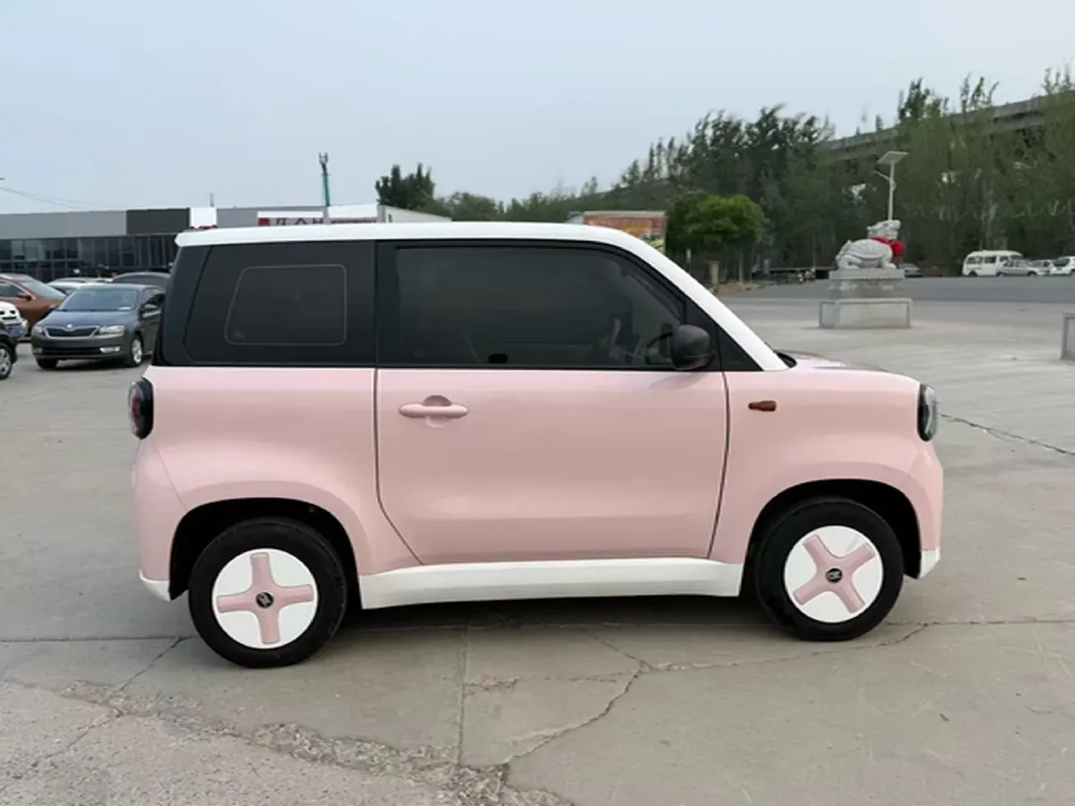2024 ZD Rainbow BEV 17.3KWH,autocango,china used car exporter,china ev exporter,chinese used car exporter,chinese used ev exporter