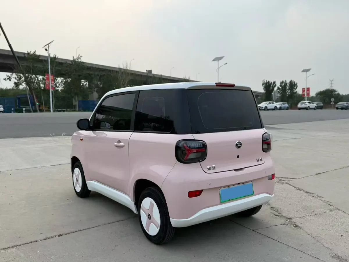 2024 ZD Rainbow BEV 17.3KWH,autocango,china used car exporter,china ev exporter,chinese used car exporter,chinese used ev exporter