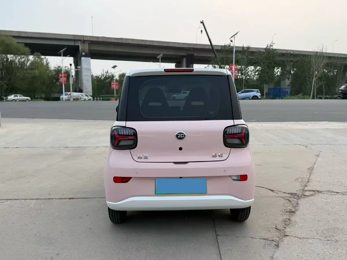 2024 ZD Rainbow BEV 17.3KWH,autocango,china used car exporter,china ev exporter,chinese used car exporter,chinese used ev exporter