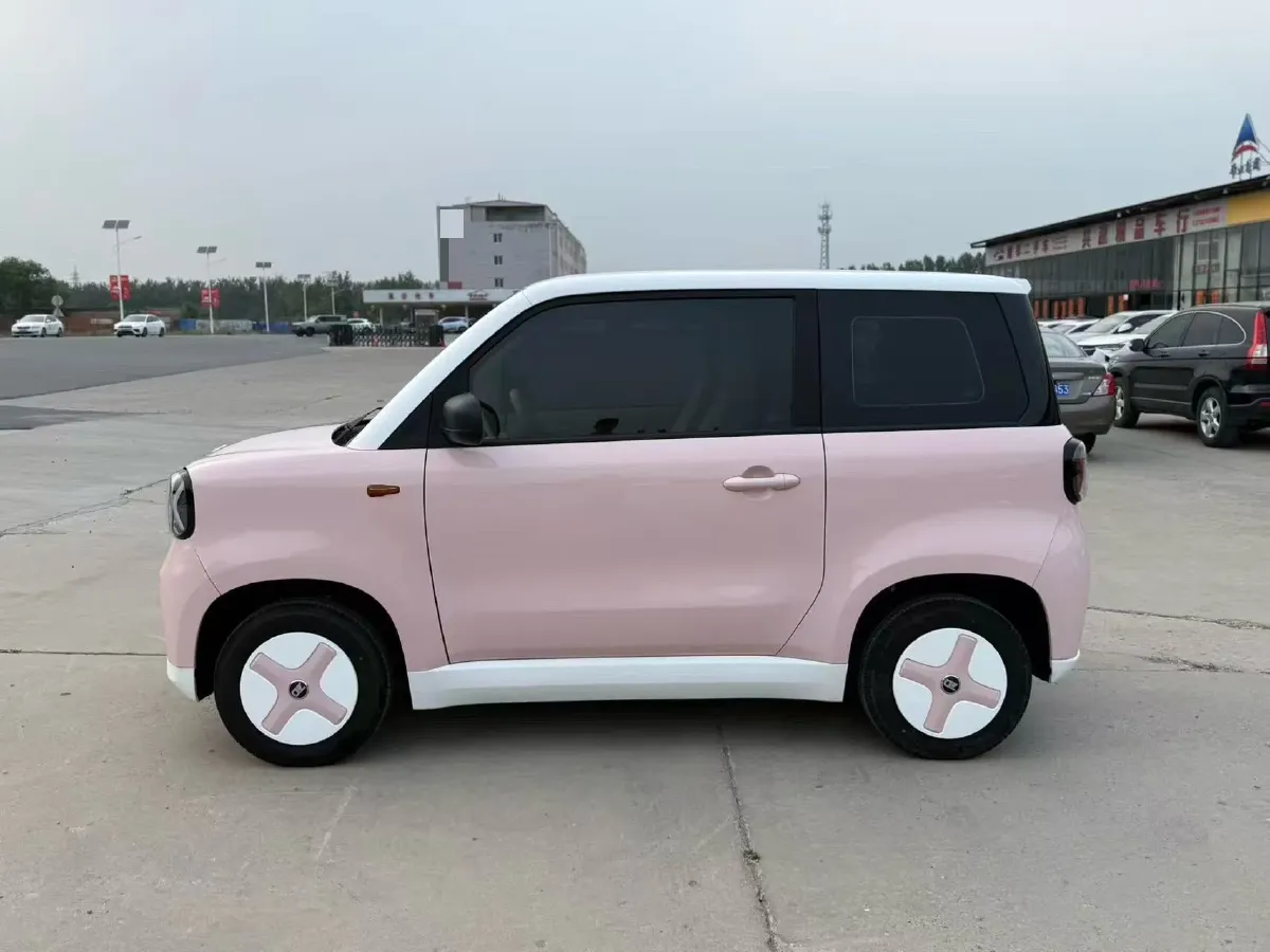 2024 ZD Rainbow BEV 17.3KWH,autocango,china used car exporter,china ev exporter,chinese used car exporter,chinese used ev exporter